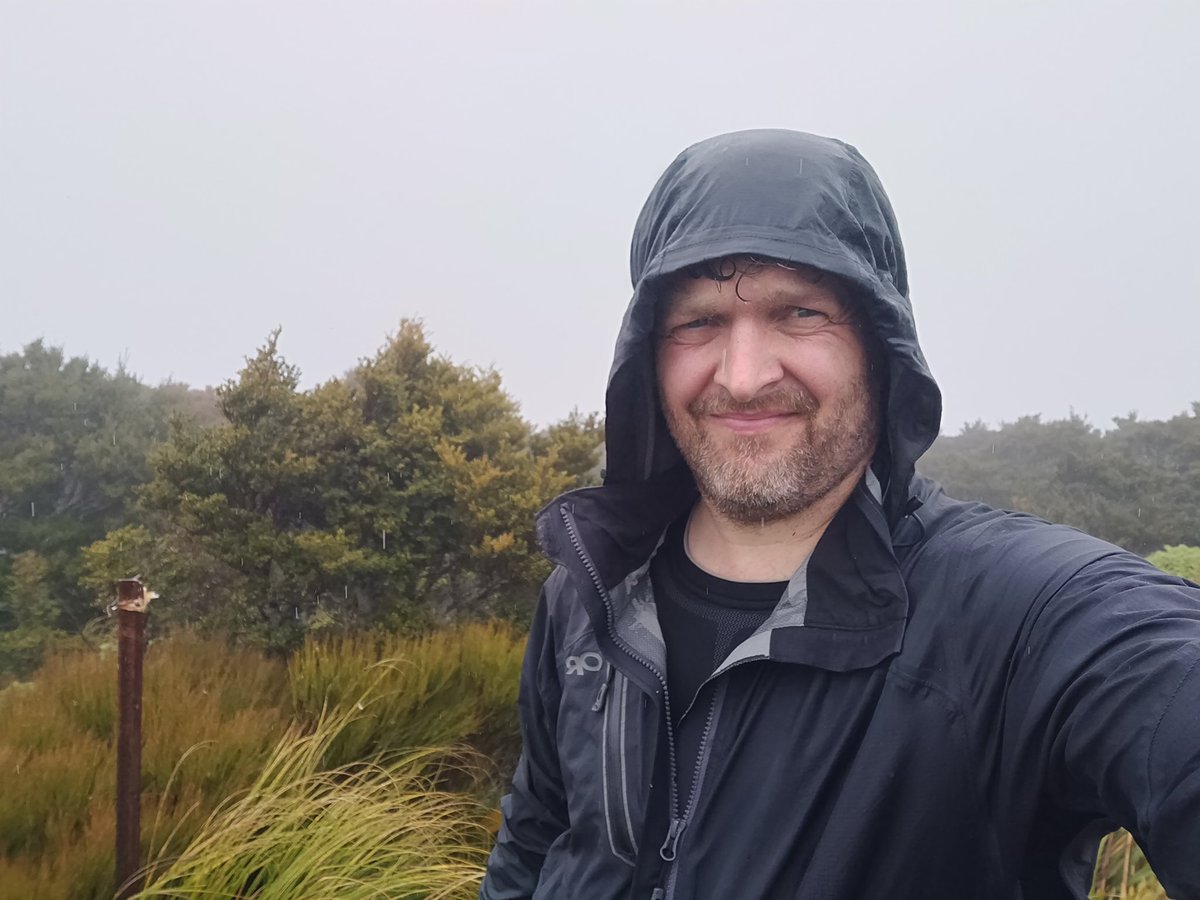 Josh Forde tweet media