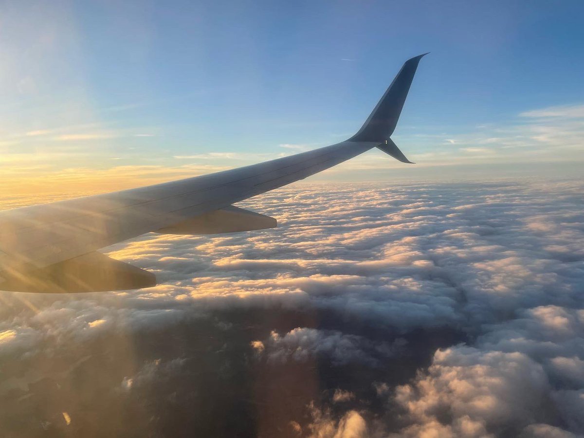 tmcchick's tweet image. ✈️