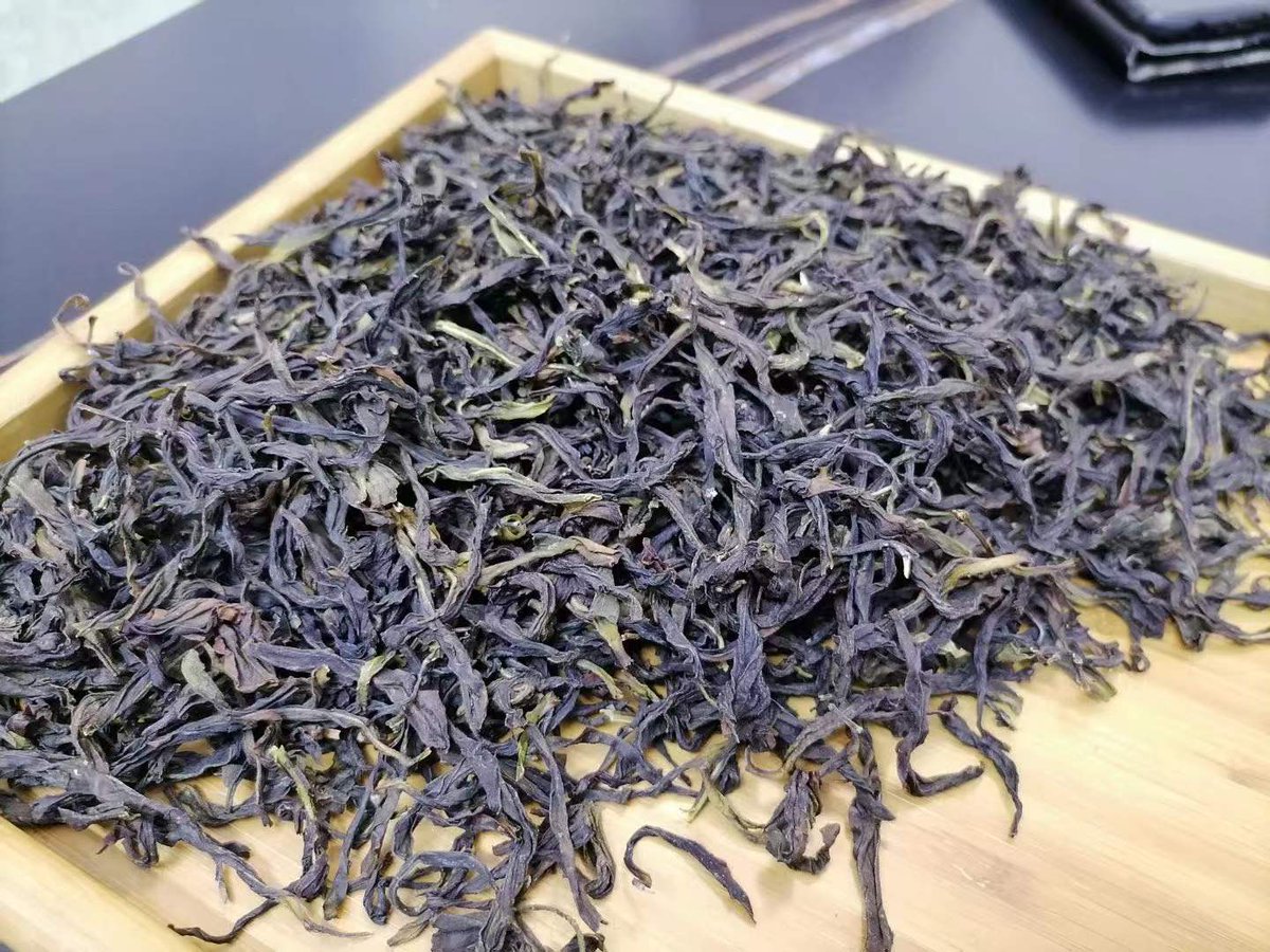 OrganicteaL's tweet photo. "Snow flake" orchid fragrance is high-definition and refreshing. Deeply loved by the majority of tea friends, it tastes very fragrant, with strong and lasting flower fragrance; long lasting #tea #oolong #gongfucha #teatime #teafarmer #chinatea #tealife #teaaddict #cha #yoga #tee https://t.co/o62FrLBr2L