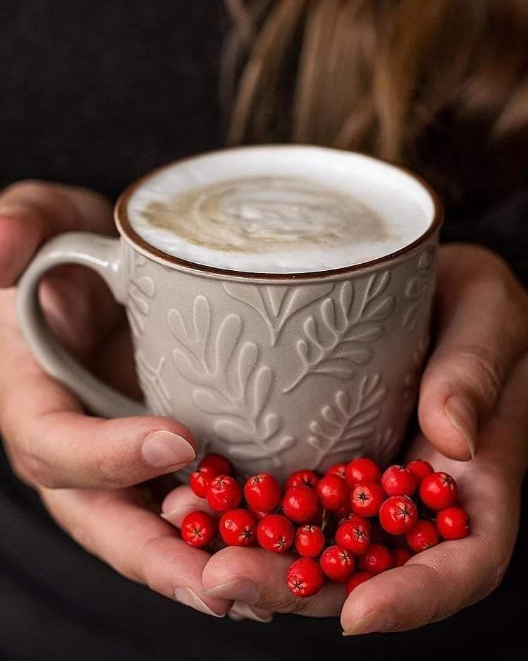 زهرة الزيزفون (@witerooz73) on Twitter photo اللهم انا نسالك  .. درباً لا تضيق به الحياة.
وقلباً لا يزول منهُ ..الامل ..
وان تكتب لنا يالله  مع  اشراقة كل يوم جديد. خيراً ، ورزقاً طيباً ، وعافيةً ، ودرباً منيراً بطاعتك يارب العالمين ..
اللهم امين.. صباح الخير اللهم انا نسالك  .. درباً لا تضيق به الحياة.
وقلباً لا يزول منهُ ..الامل ..
وان تكتب لنا يالله  مع  اشراقة كل يوم جديد. خيراً ، ورزقاً طيباً ، وعافيةً ، ودرباً منيراً بطاعتك يارب العالمين ..
اللهم امين.. صباح الخير