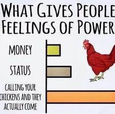 PeckwarsNFT's tweet photo. WE HAVE JUST PASSED OUR FIRST 100 MEMBERS OVER AT OUR DISCORD!! KEEP SPREADING THE CHICKEN LOVE 
#NFTs #peckwarsnft #NFTCommunity #Solana #NFTGiveaways https://t.co/aYvLOSgOb9