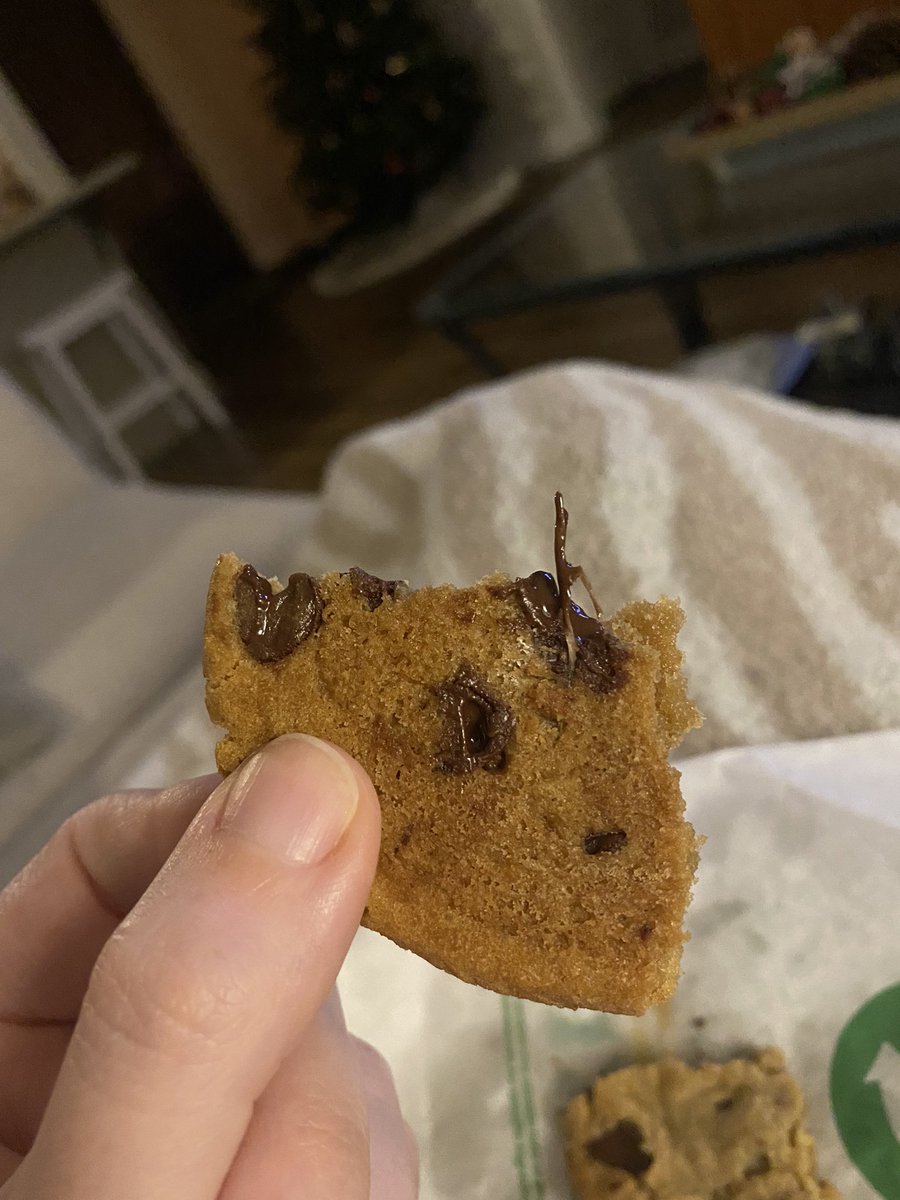 baileygoodson's tweet photo. Ummm @SUBWAY look what I found in one of my chocolate chip cookies. This is absolutely disgusting and I have no idea what it is. Y’all are nasty and I probably won’t go back https://t.co/TvuGb31PuG