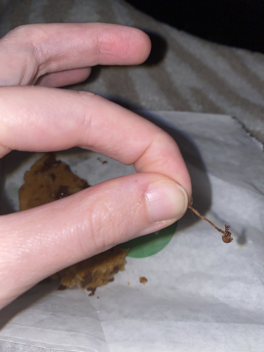 baileygoodson's tweet photo. Ummm @SUBWAY look what I found in one of my chocolate chip cookies. This is absolutely disgusting and I have no idea what it is. Y’all are nasty and I probably won’t go back https://t.co/TvuGb31PuG