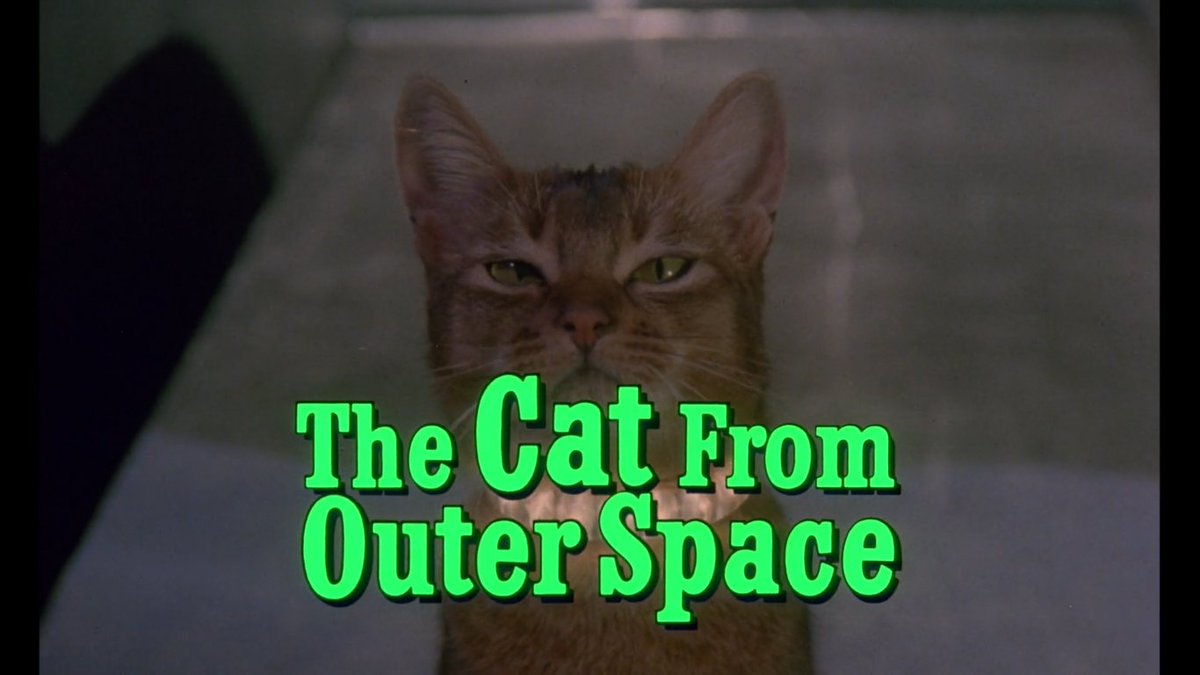 The Cat from Outer Space (Norman Tokar, 1978)