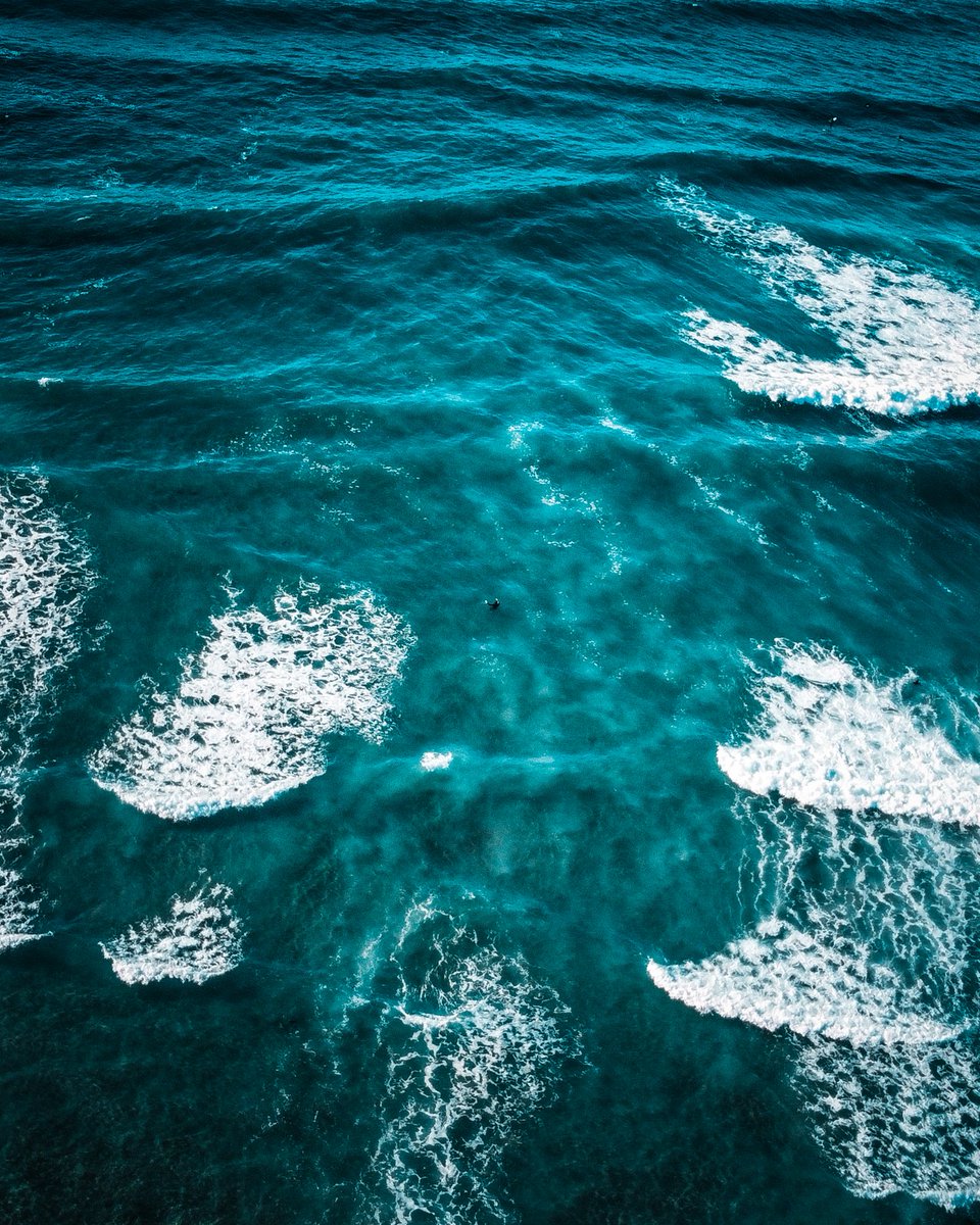 TSkoff's tweet photo. @yungus Love to see the support for NFT photographers!

You can check out my collection "A Blue World" here: https://t.co/noRWMsjGXv

10% of each primary sale is donated to #TeamSeas to support the conservation of our oceans. 

Floor price is low. Thank you for checking out my work. https://t.co/PA8I0ZLIf0