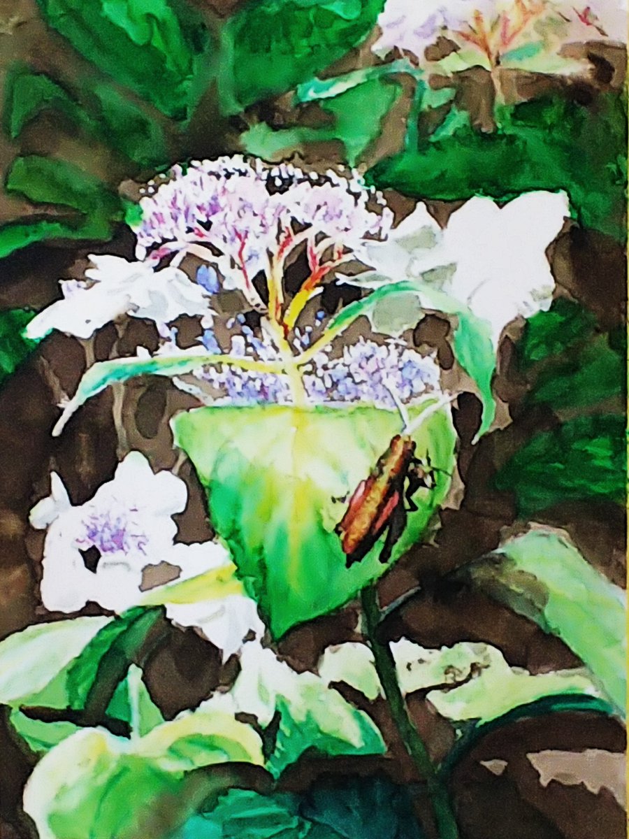 Twoucan 紫陽花 の注目ツイート イラスト マンガ コスプレ モデル