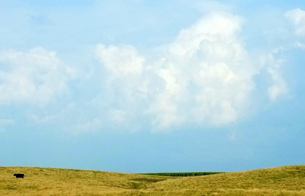 motionandlight's tweet photo. Happy 175th birthday, Iowa!
My grandparents, relatives, and parents taught me from birth that ours is a special state. May your people always keep you unique among neighbors, resolute, appreciated, and morally upright.
With love, as thankful sons & daughters,
--Iowans
#Iowa175 https://t.co/Px7UdSXEDM