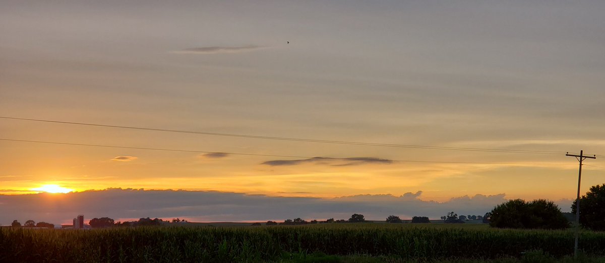 motionandlight's tweet photo. Happy 175th birthday, Iowa!
My grandparents, relatives, and parents taught me from birth that ours is a special state. May your people always keep you unique among neighbors, resolute, appreciated, and morally upright.
With love, as thankful sons & daughters,
--Iowans
#Iowa175 https://t.co/Px7UdSXEDM