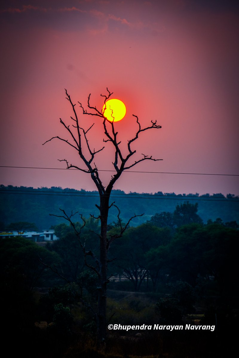 Appu19860203's tweet photo. सूरजपुर, सरगुजा। 25 दिसम्बर 2021
ठंढ़ भरी शाम... https://t.co/pftOR69TKC