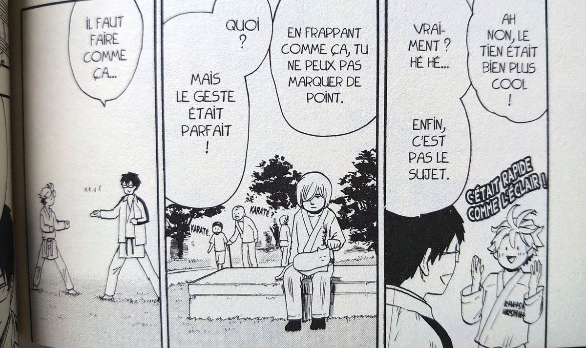 てのひらの熱を 仏語版2巻を受けとりました。2巻の表紙は左手指の塗りがおしゃれに出来て気に入っています。猫が大きめ。 