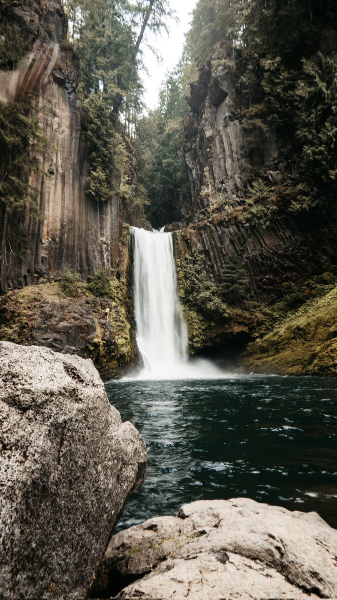 noahwootton tweet media