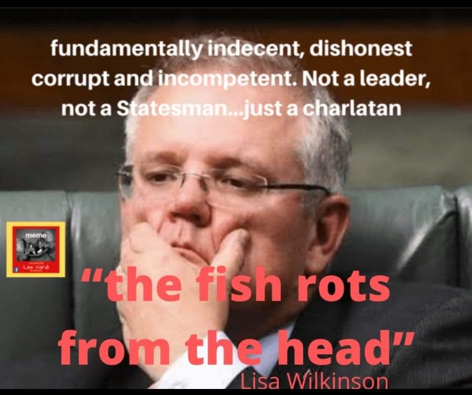 overett_janice's tweet photo. @ConcernedOutsi2 @AlboMP Yep and #LNPCrimeFamily @ScottMorrisonMP are a pure as snow 😡😡😡😡😏
#MonsterMorrison #MorrisonFires #RubyPrincess #Hawaii #Robodebt #SportsRorts #HillsongCult #ScottytheChildAbuser #ScottyFromQanon #ScottyTheRapistProtector #ScottyTheMisogynist #ScottyDoesNothing https://t.co/sdmVksujhb