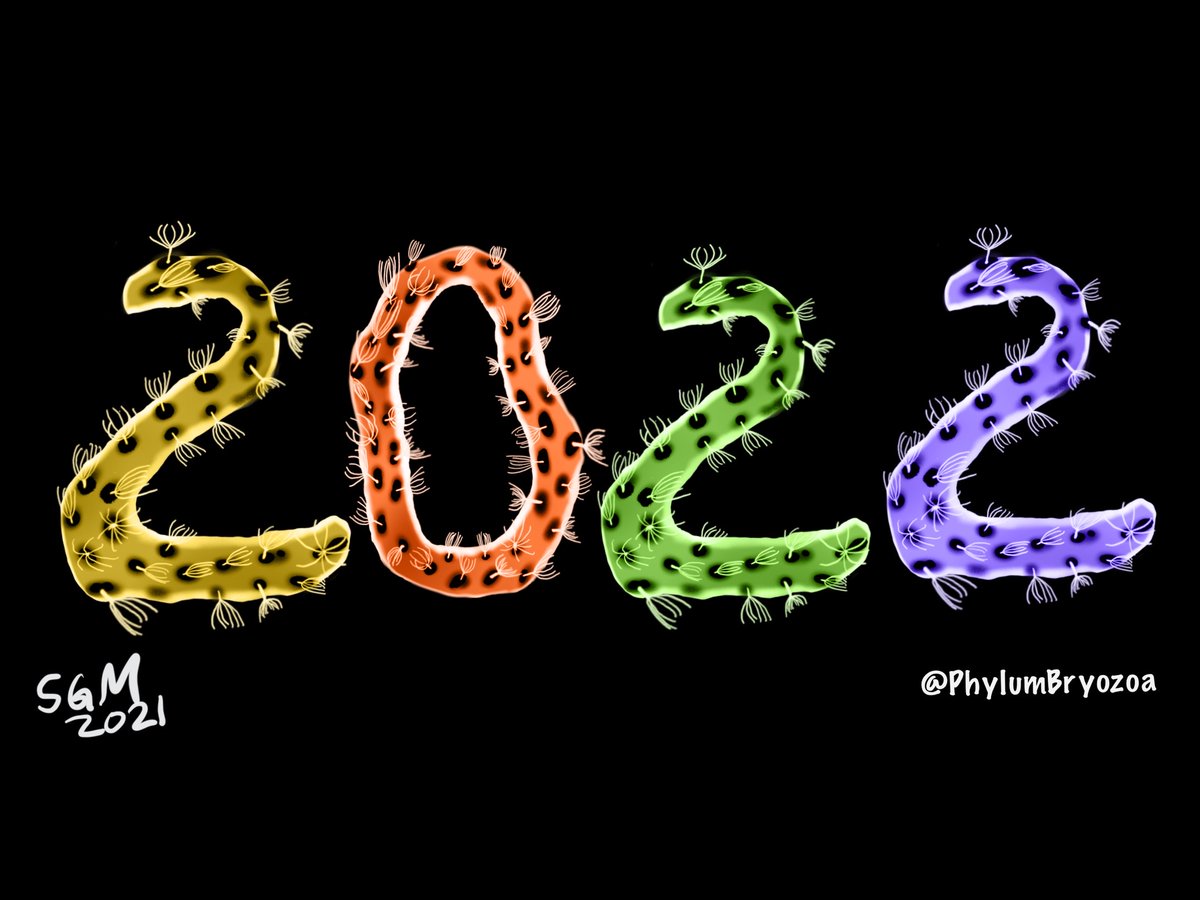 Hopefully, the next year will be full of bryozoans discoveries.

All my best wishes!

#HappyNewYear2022 #Bryozoa