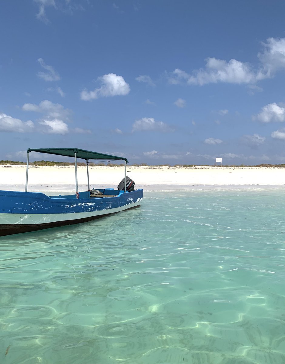 aswan_aswaan's tweet photo. 2021 🌱🌊
Djibouti im gonna misssss youuuu https://t.co/sbQPQ7ZJfP