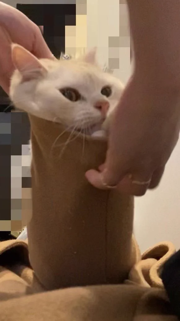 @shigemochi_kun かわよい😂 