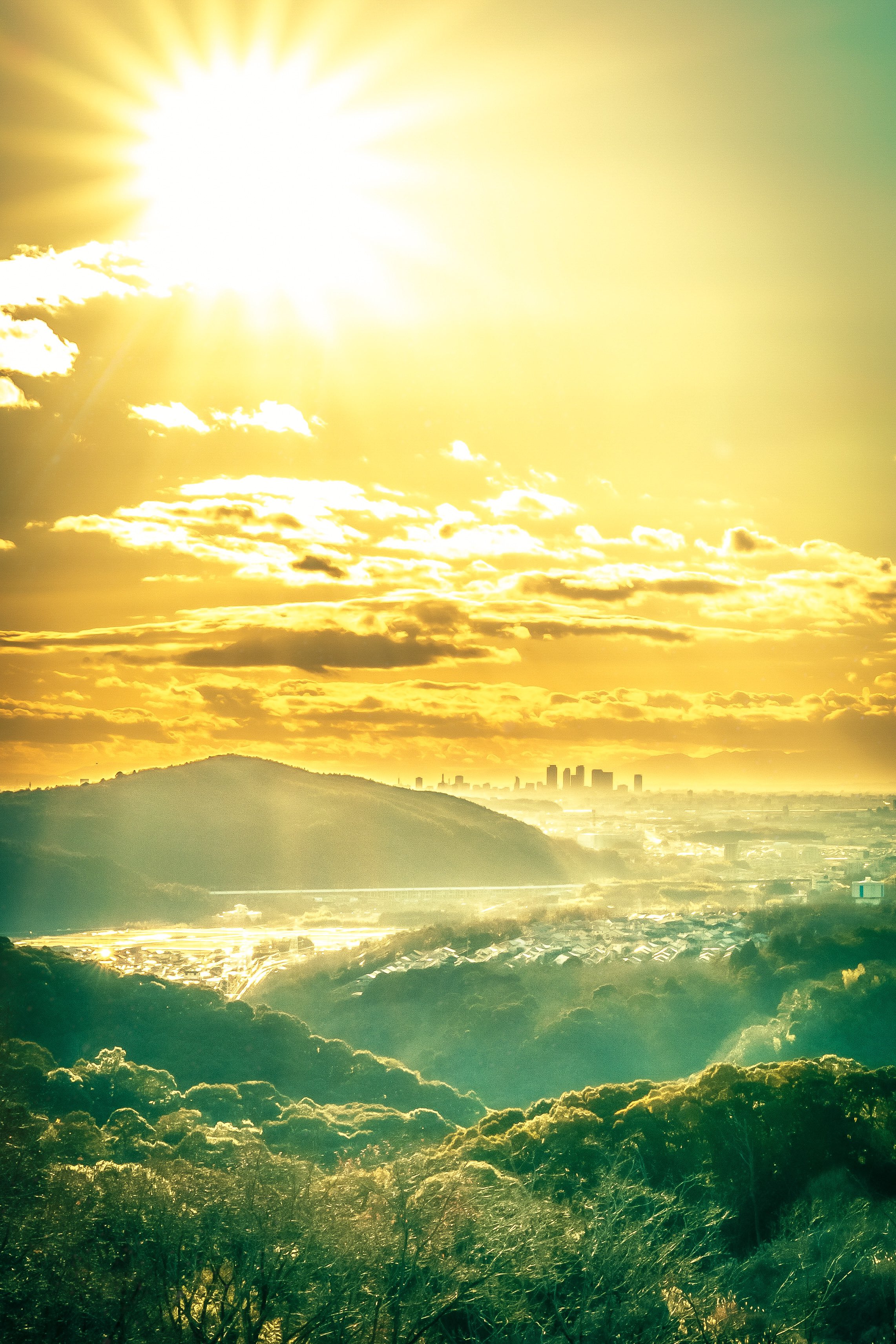 九空白 Mr Setup0123 Twitter