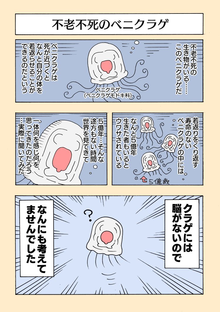 تويتر いぬころすけ على تويتر 不老不死 のクラゲ イルカはフグ毒でハイになる T Co 5osiugezrj