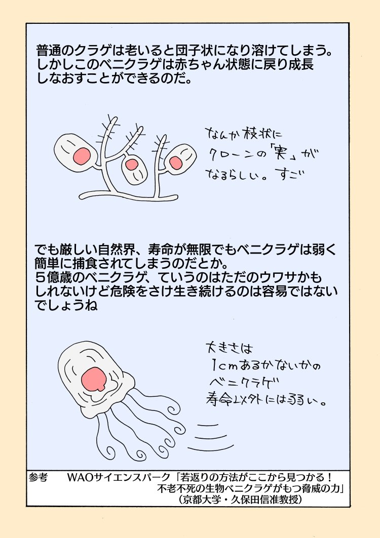 تويتر いぬころすけ على تويتر 不老不死 のクラゲ イルカはフグ毒でハイになる T Co 5osiugezrj