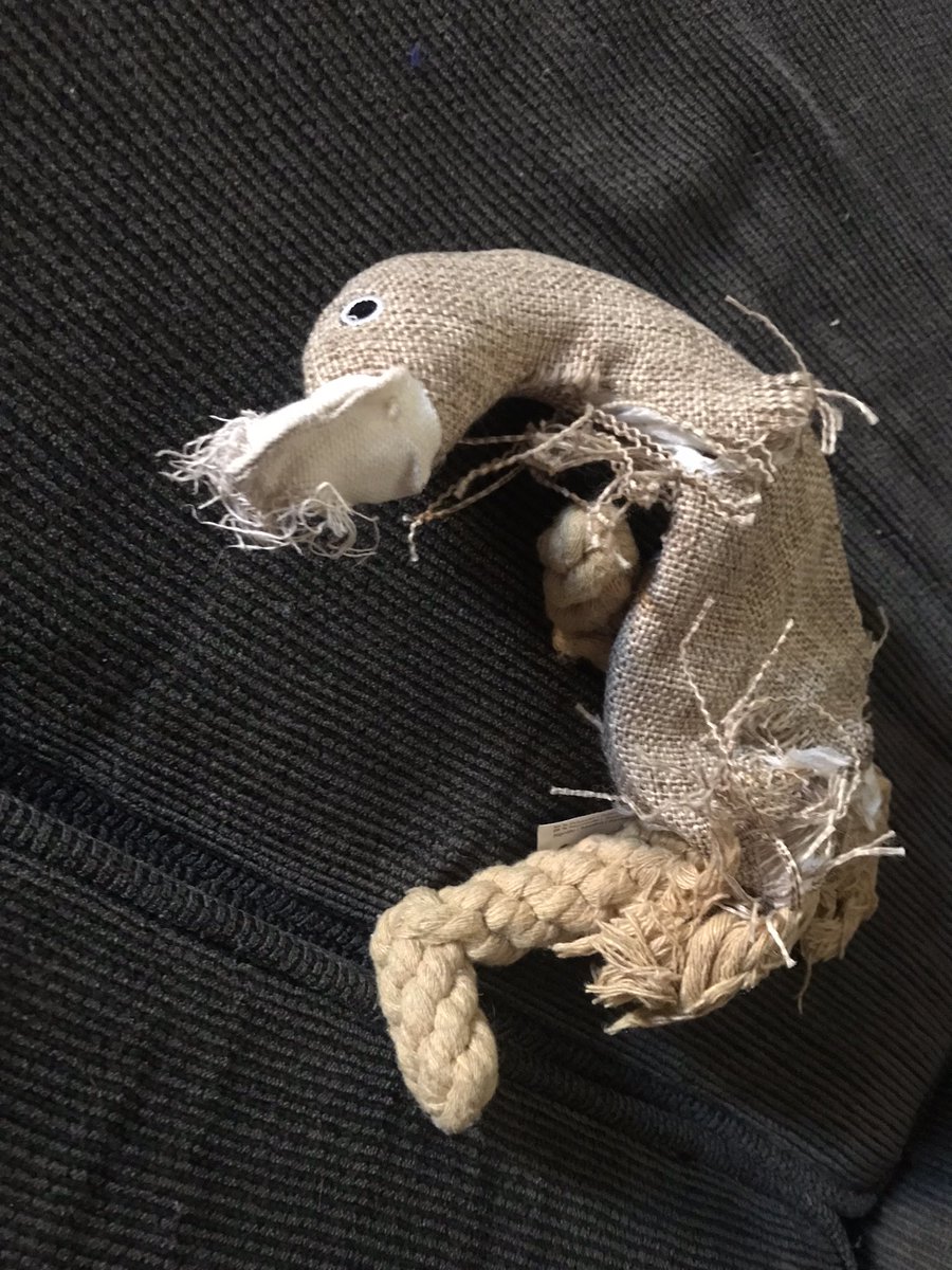 LetterBetter416's tweet photo. To mangle (verb)
> to destroy or severely damage (a stuffed goose) by tearing or crushing
#levelupyourlanguage
❤️📚👩🏫👨🏫🍎🐕🎄🦆❤️ https://t.co/Y7Q38eT3EG