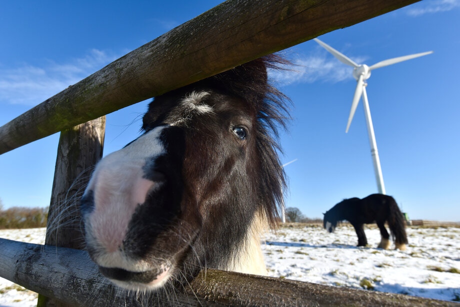 We're recruiting for a Director 
If you are passionate about the countryside, want to work towards positive change to protect &amp; enhance Gloucestershire’s countryside, and have the experience to make a difference, we'd like to hear from you.
cpreglos.org.uk/about-us/join-…
Closes 17th Jan