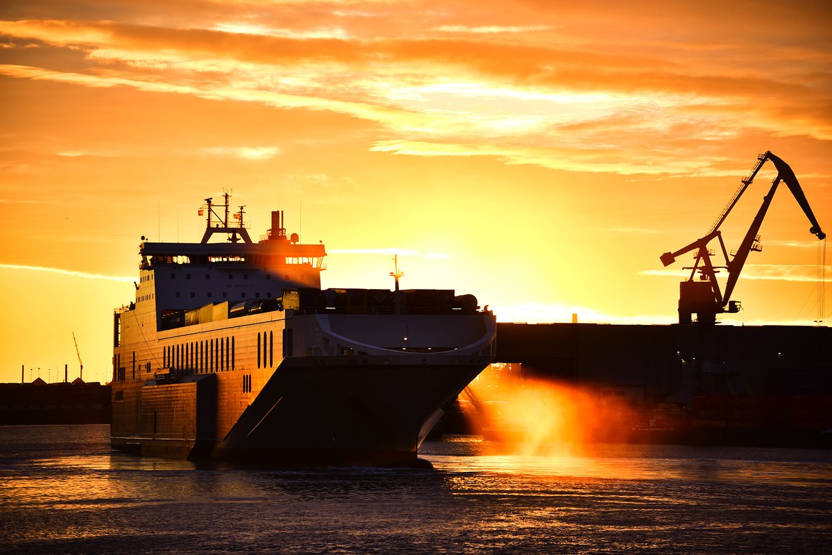 HavenRotterdam's tweet image. Vanaf 1 januari gelden strengere douaneregels in het VK. Wees voorbereid, gebruik voor uw vervoer het juiste toegangsmodel #prelodgement #temporarystorage. Lees er alles over in dit infoblad bit.ly/3ELTODn #Getreadyforbrexit