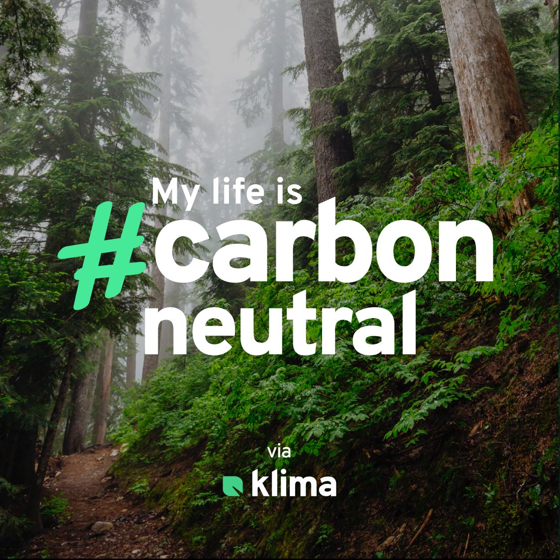 Tara Farrer tweet media