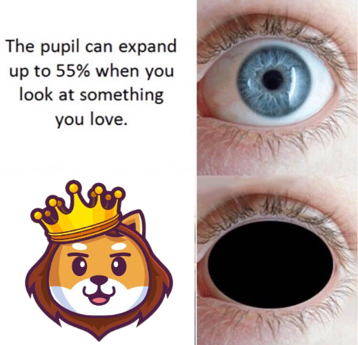 wecub_bear's tweet photo. @simbainucoin Here's my entry. Thank you for this opportunity @simbainucoin 

@Wolverinutoken
@CryptoCoin24
@printmenowbabe

#MemeContest #memetoken #BSC #BSCGems https://t.co/CGOP1usRRO