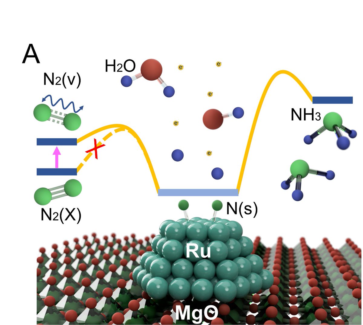 PJ Cullen (@pjcullen100) on Twitter photo New paper on sustainable ammonia synthesis via plasma catalysis, with colleagues from <a href="/CSIRO/">CSIRO</a> <a href="/QUT/">QUT</a> <a href="/Eng_IT_Sydney/">Engineering Sydney Uni</a> and CAS. <a href="/TerryZh17594049/">Terry Zhang</a> <a href="/RenwuZhou/">Renwu Zhou</a> <a href="/FengwangLi/">Fengwang Li</a> @RyanZho518 #plasma #greenammonia #sustainability onlinelibrary.wiley.com/doi/abs/10.100… New paper on sustainable ammonia synthesis via plasma catalysis, with colleagues from <a href="/CSIRO/">CSIRO</a> <a href="/QUT/">QUT</a> <a href="/Eng_IT_Sydney/">Engineering Sydney Uni</a> and CAS. <a href="/TerryZh17594049/">Terry Zhang</a> <a href="/RenwuZhou/">Renwu Zhou</a> <a href="/FengwangLi/">Fengwang Li</a> @RyanZho518 #plasma #greenammonia #sustainability onlinelibrary.wiley.com/doi/abs/10.100…