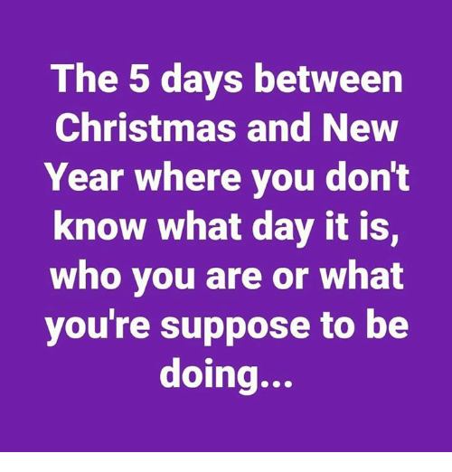 devopsdownunder's tweet image. Who else feels like this?

How about buying your tickets? 
Better still get your talk ready for DevOpsDays Melbourne in March.

💻: lnkd.in/gGG-fyFA
📝: lnkd.in/gfF-d-83
🎟: lnkd.in/e8eWht8g

#melbourne  
#devopsdays2022
#devopsdaysmelbourne 
#devops
#cloud