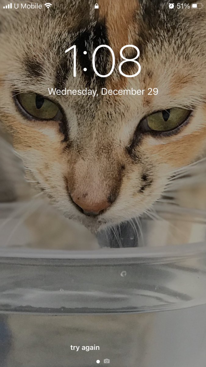 Miaw dah takde. Tapi wallpaper masih ada 😢