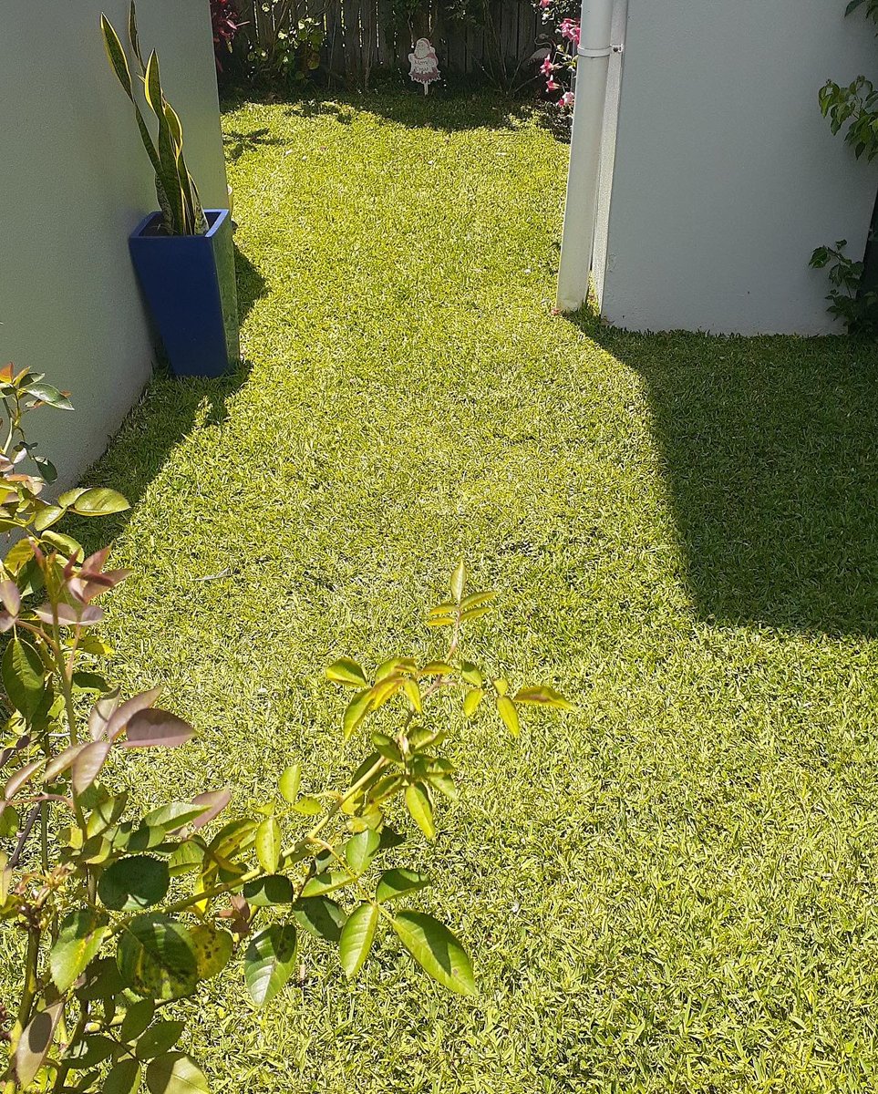 infoaacares's tweet photo. Damien giving a #thumbsup after finishing a #gardening #job. We #love a #trailer filled with #weeds and #branches after a job is completed. Just look at that #grass #beforeandafter! 💜 #aussieagedcare https://t.co/oPqy8c2gT8