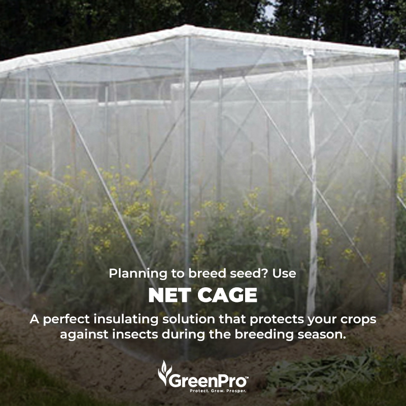 GreenPro_India's tweet image. GreenPro mesh cage, an entirely custom-made product that can help you during your seed breeding season. Perfect for insulation and crop protection from insects and other environmental hazards during the breeding season. Visit: greenproventures.com/product/net-ca…
#meshcage #netcage #insectnet