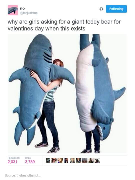 WholesomeMemes (@wholesomememe) on Twitter photo 