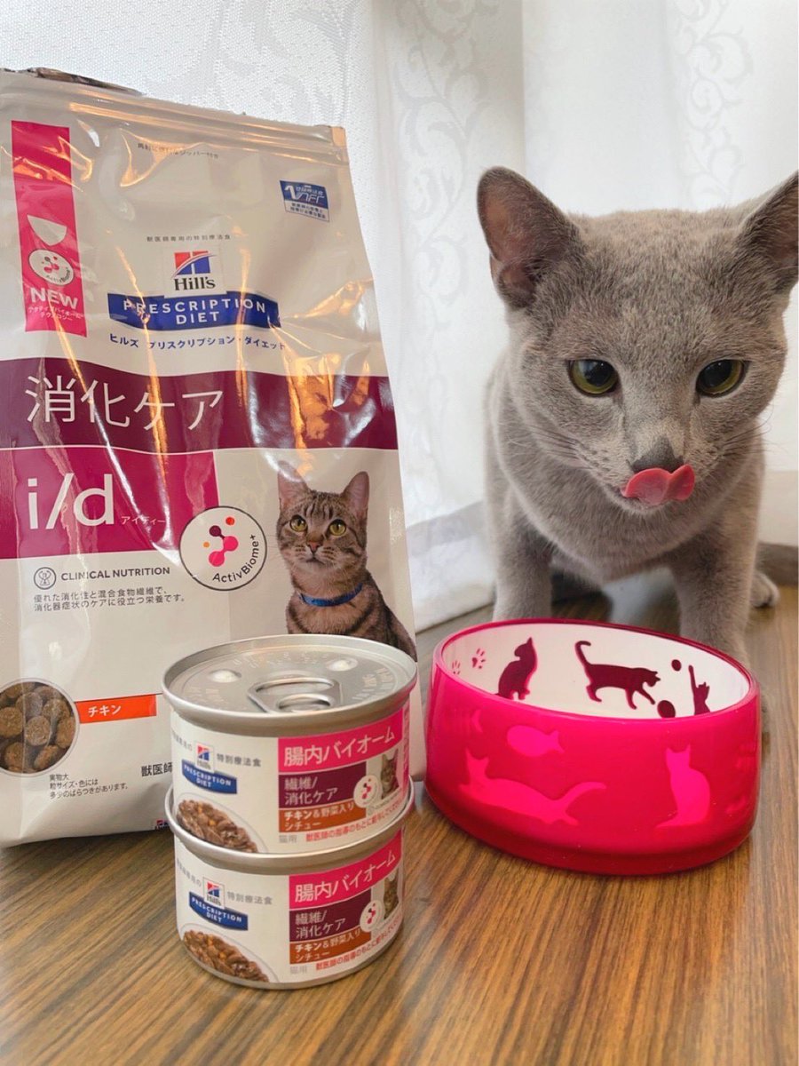 Takumin_vet's tweet photo. 我が家の愛猫😸
お腹の弱いライムも好き嫌いの多いミントも2人とも大好きなフード🍴
普段は消化ケアのドライ、お腹壊して食欲落ちた時はウェットの腸内バイオームを使っています。
フード変えてからお薬要らずです😸
@HillsVets 
@HillsPetJapan 
#アクティブバイオームプラス
#Hillsフード https://t.co/F5wCqv0kfB