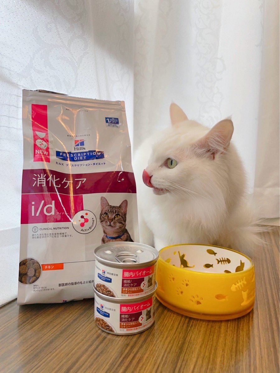Takumin_vet's tweet photo. 我が家の愛猫😸
お腹の弱いライムも好き嫌いの多いミントも2人とも大好きなフード🍴
普段は消化ケアのドライ、お腹壊して食欲落ちた時はウェットの腸内バイオームを使っています。
フード変えてからお薬要らずです😸
@HillsVets 
@HillsPetJapan 
#アクティブバイオームプラス
#Hillsフード https://t.co/F5wCqv0kfB