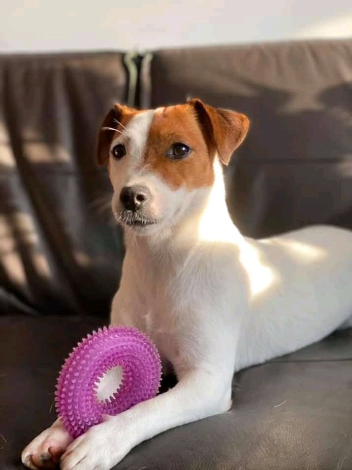 Bonjour à vous tous et bonne journée 😂😂🤩🤩