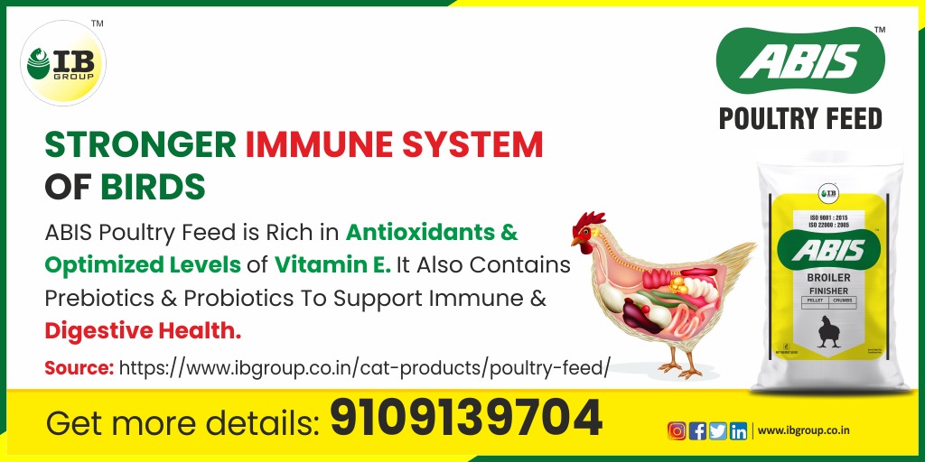 ibgroup_india's tweet photo. The most cost-effective feed for your Poultry is #ABISPoultryFeed and it assures a healthy immune system for a high-yielding batch and a high-end profit.

#IBGroup #ABIS @gulrez_alam_197  @Dept_of_AHD #Poultryfeed #poultry #Pelletfeed #industry #profit #growth #livestockfeed https://t.co/8DcluymFNo