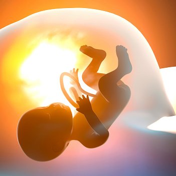 cognitivecstasy's tweet image. Bu gerçeklik bir rahimdir, anne karnının içindeyiz. Bu kapalı alanda bir bebek gibi olgunlaşma ve büyüme evresindeyiz. Bebek nasıl doğar ve dışarıdaki pranayı içine çekerek büyür ve genişlerse, kubbe açıldığında da insanoğlu yeni bir dünyaya doğacak.
#Empcoe