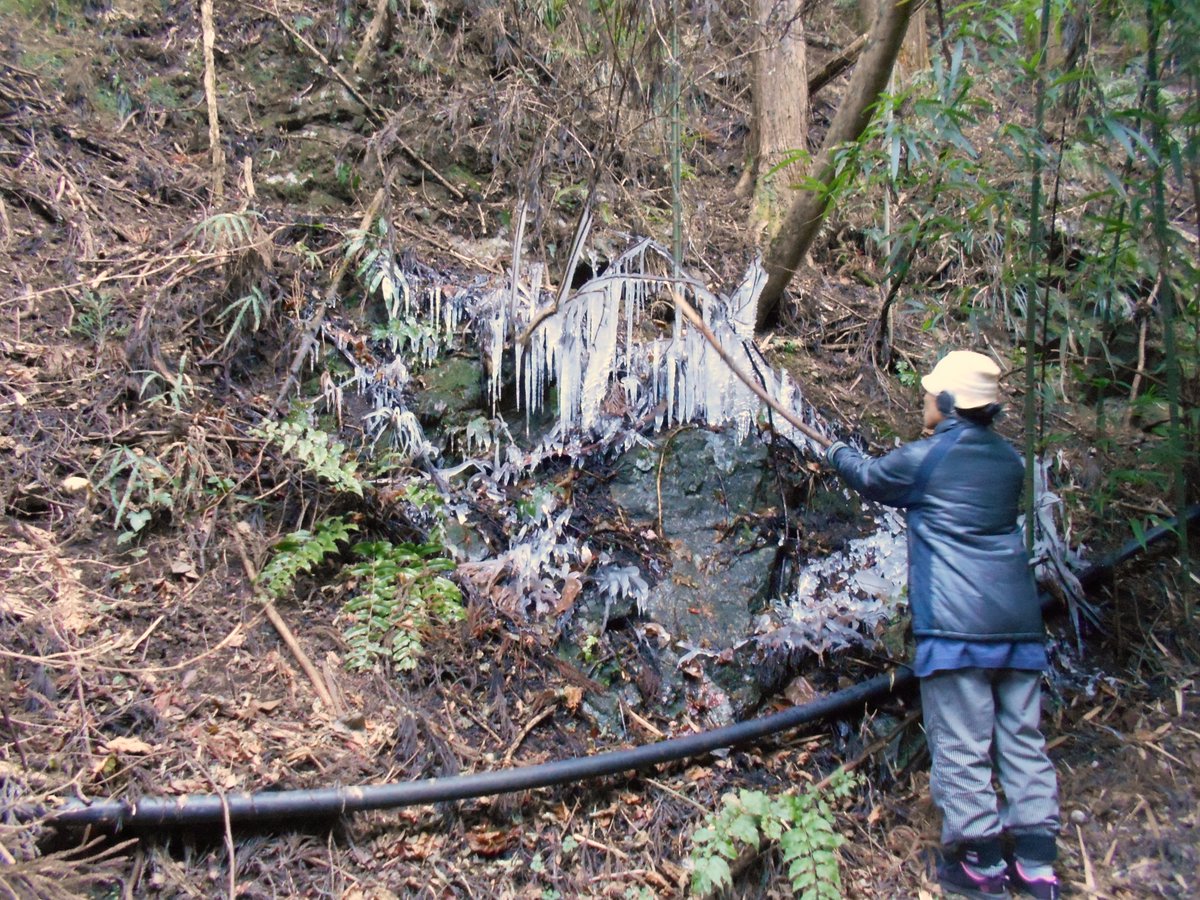 ツララコンコン山ん中♪