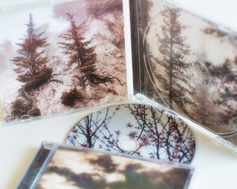 Snow Wave Records tweet media