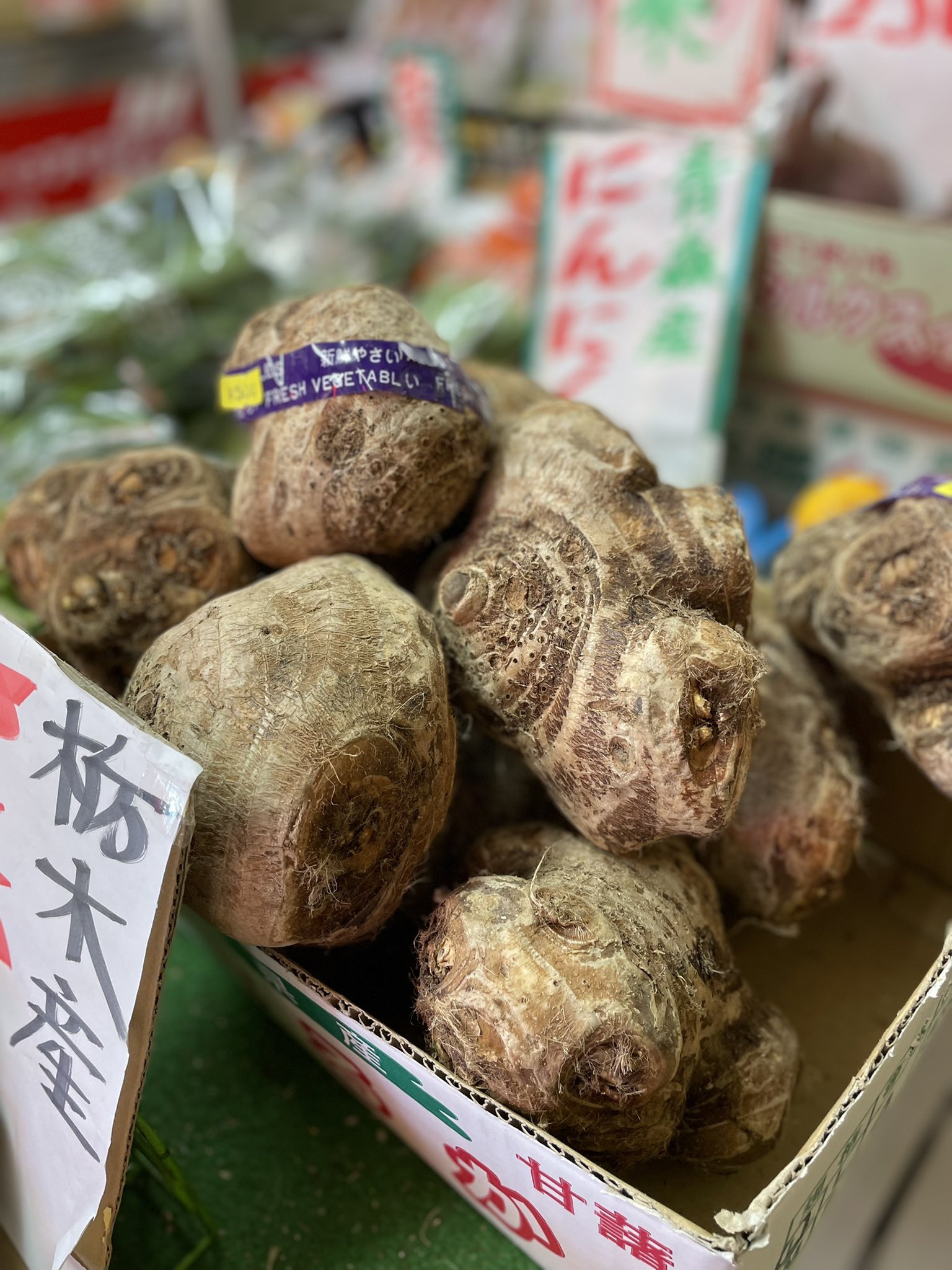 八頭 Twitter Search Twitter