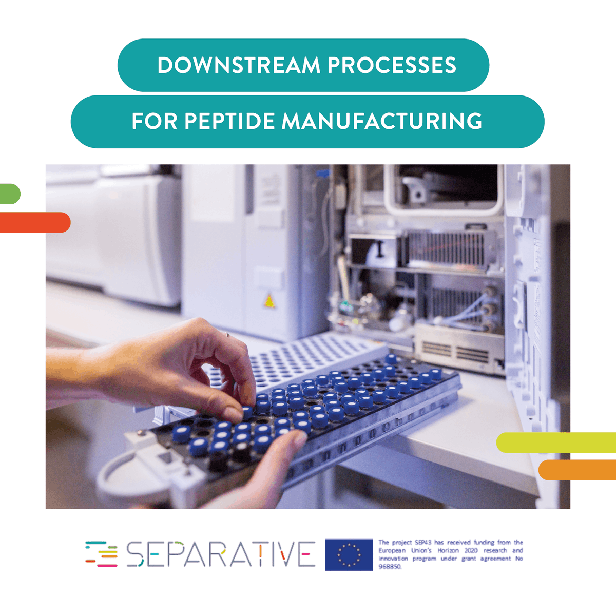 SEPARATIVE tweet media