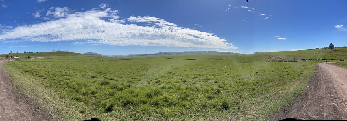 PoppyIsMyName's tweet photo. Good morning β¨ππ½
Dirt roads β
Blue skies β
Lush fields β
Day 29/31 ππΎββοΈπͺπ½π₯³
#RunningThroughDecember
#DecemberChallenge
#RunWithPoppy
#HomeRun https://t.co/qw1aiohVy0