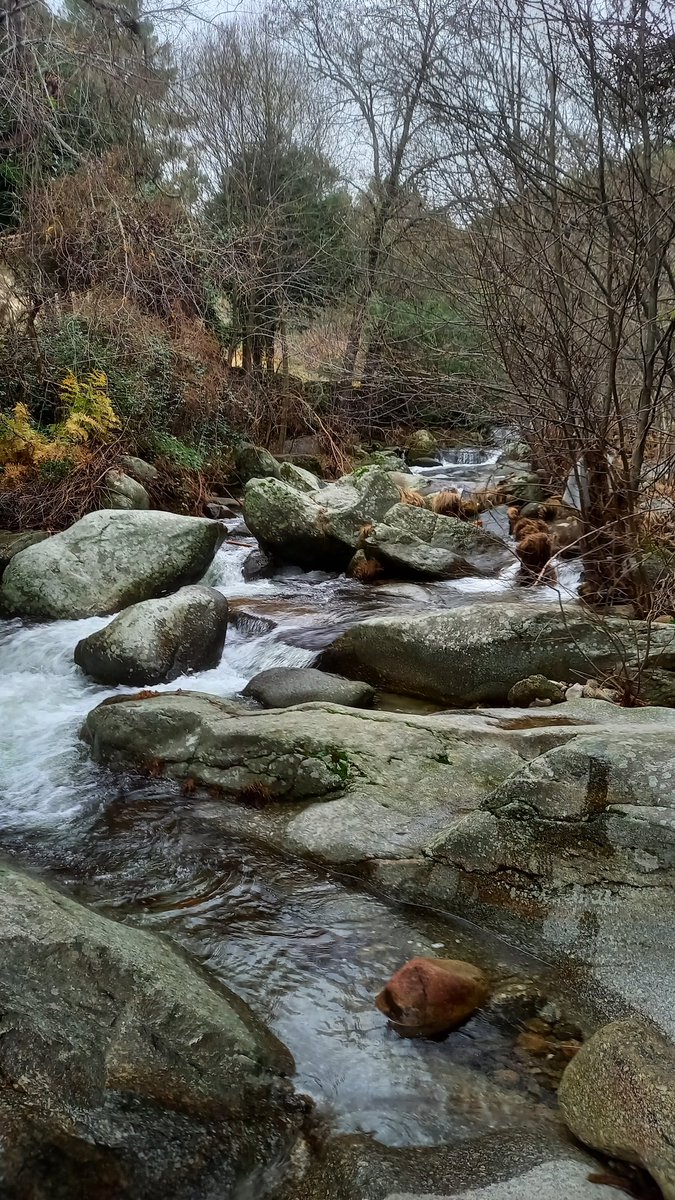 DTena78's tweet photo. Río Tiétar. https://t.co/Hjo6Mpo4RD