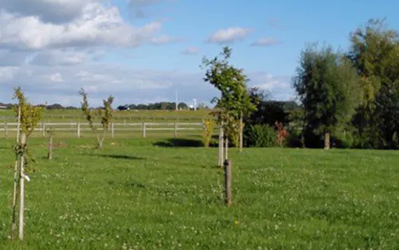Bestaande bedrijfssituatie voor boer leidend bij plannen rondom #agroforestry. Onderzoek de mogelijkheden van het inpassen van bomen/struiken. Dit draagt bij meer #biodiversiteit #landschapsherstel #diergezondheid #welzijn #natuurinclusief <a href="/pamrombouts/">Piet Rombouts</a>
buff.ly/3qpVfSr