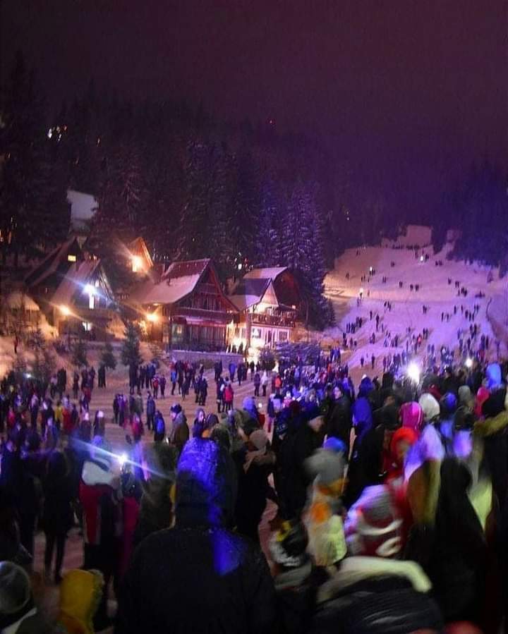 Petra Oz tweet media