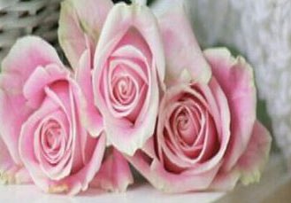 WRge12345's tweet photo. ✍🏻
.
.
🌼
.
.

أخلاقك عنوانك
لَنْ تَسْتَطِيع تَغْيير شَكلَك 
لِتَصْبَحْ أجْمَل فِي عيُون آلنَّاس  
وَلَكنَّك تسْتَطِيع تَزيين أخْلآقَك وَتَجْمِل أدَبَك لِتَكون أجْمَل مَا رَأت عيُون النَّاس.!💛🌻

.
.
#اميره_الذوووق https://t.co/QfwZZV0yD4