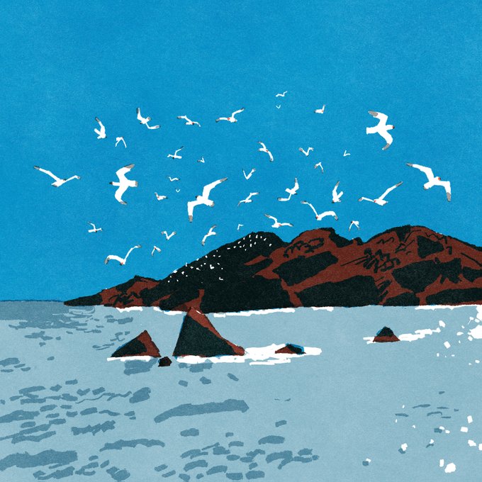 「animal seagull」 illustration images(Latest)