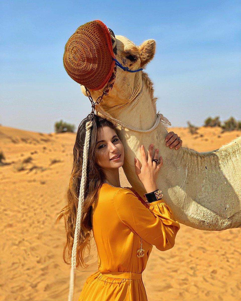 badoucom's tweet photo. If you want to enjoy freedom, you need the constant support of wealth. If you want to realize the freedom of personal and wealth without a noble person to help you, then your thinking must reach a new height! The spirit of dare to try and take risks is commendable! perseverance https://t.co/u759p7qnVb