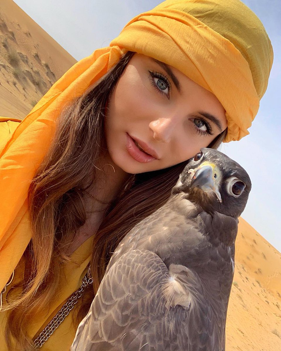 badoucom's tweet photo. If you want to enjoy freedom, you need the constant support of wealth. If you want to realize the freedom of personal and wealth without a noble person to help you, then your thinking must reach a new height! The spirit of dare to try and take risks is commendable! perseverance https://t.co/u759p7qnVb